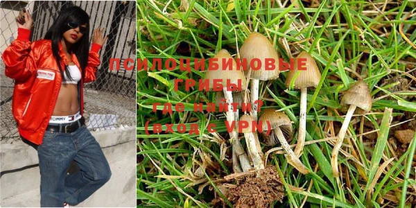 герыч Гусев
