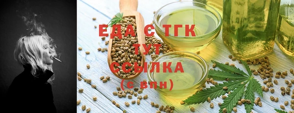 амф Гусь-Хрустальный