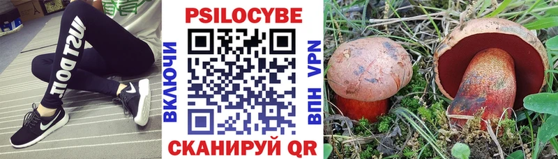 блэк спрут маркетплейс  Ленинск-Кузнецкий  Галлюциногенные грибы Magic Shrooms  купить  сайты 